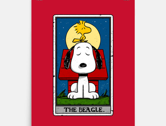 The Beagle