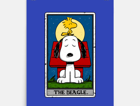 The Beagle