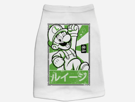 Luigi Japan