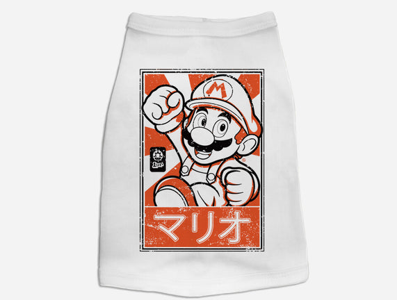 Mario Japan