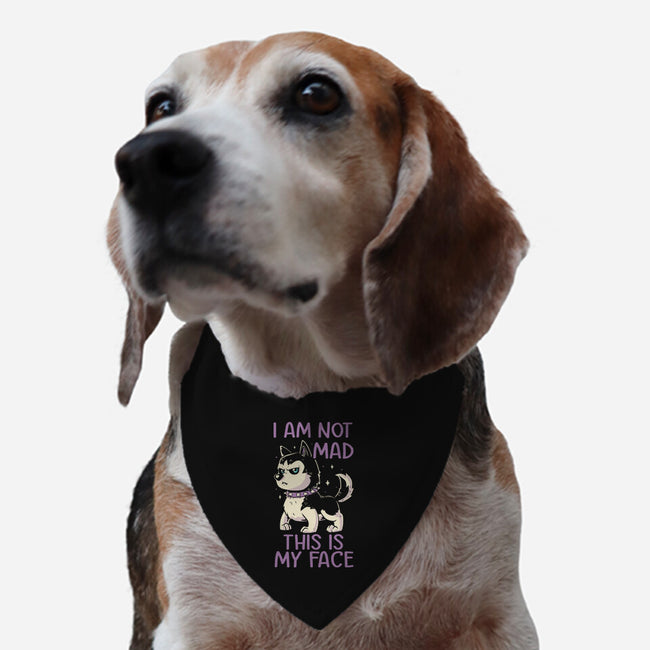 I Am Not Mad This Is My Face-Dog-Adjustable-Pet Collar-koalastudio