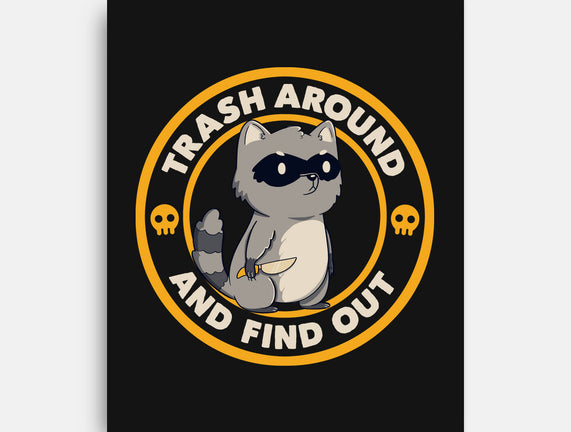 Trash Around Raccoon