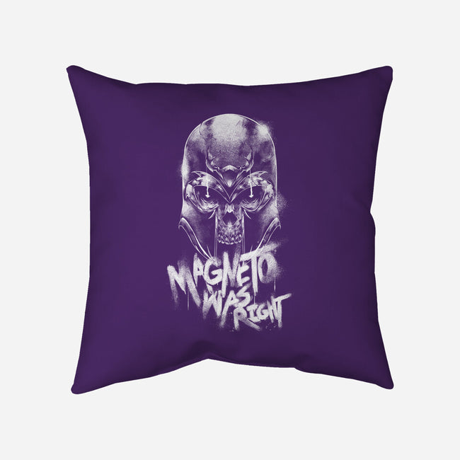 Magnetically Correct-None-Non-Removable Cover w Insert-Throw Pillow-Bo Bradshaw