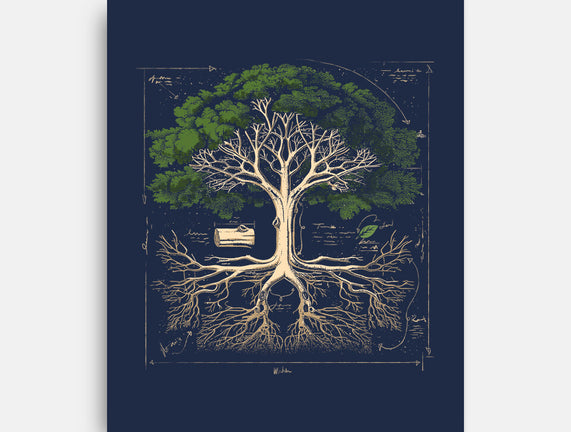 Tree Anatomy