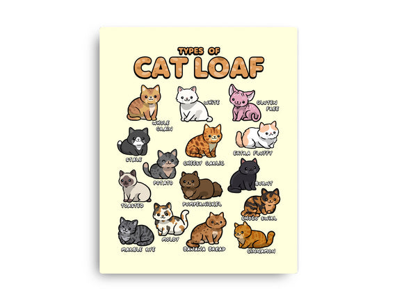 Types Of Cat Loaf