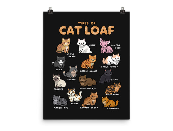 Types Of Cat Loaf