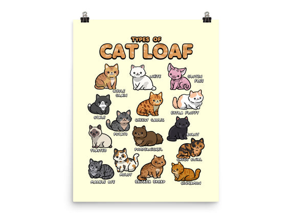 Types Of Cat Loaf