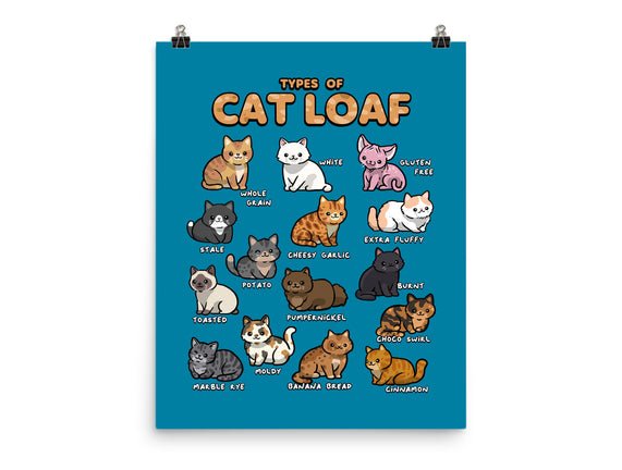 Types Of Cat Loaf