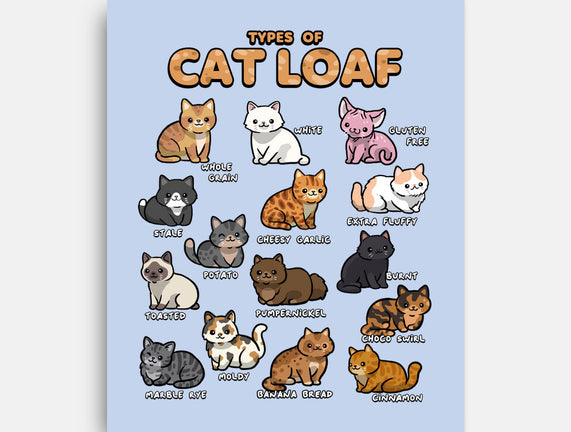 Types Of Cat Loaf