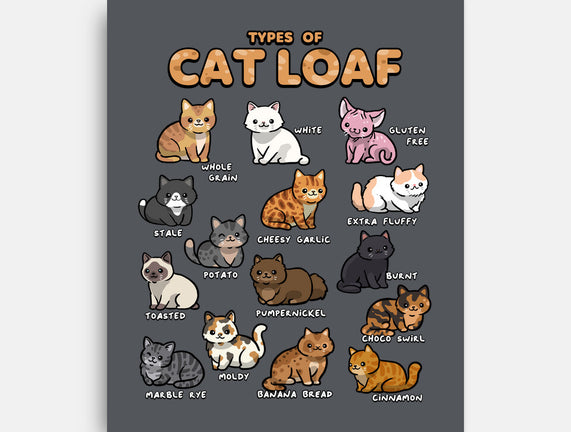 Types Of Cat Loaf