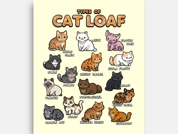 Types Of Cat Loaf