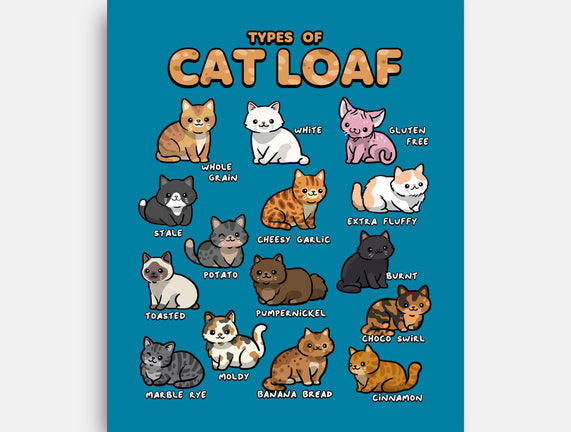 Types Of Cat Loaf