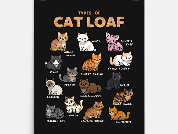 Types Of Cat Loaf