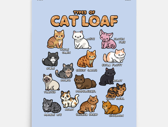 Types Of Cat Loaf