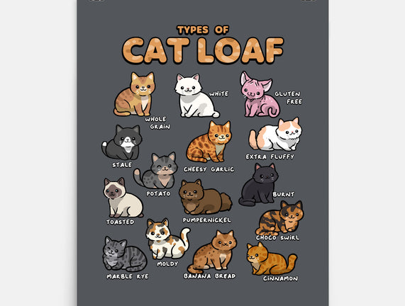 Types Of Cat Loaf