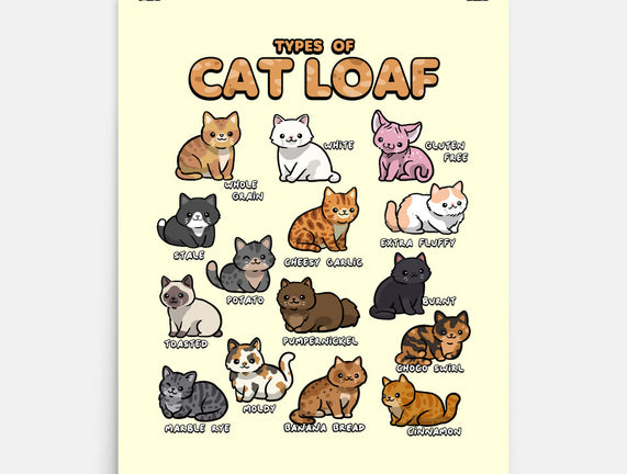 Types Of Cat Loaf