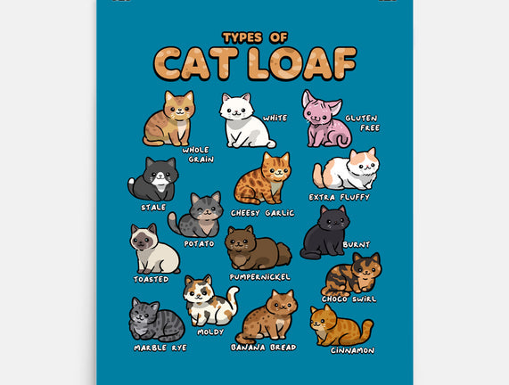 Types Of Cat Loaf