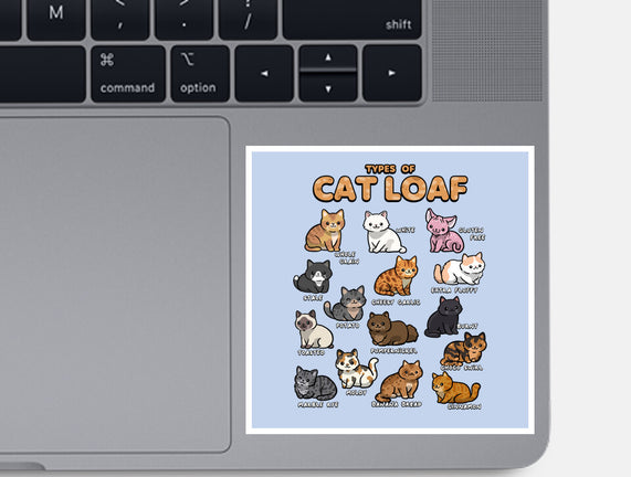 Types Of Cat Loaf