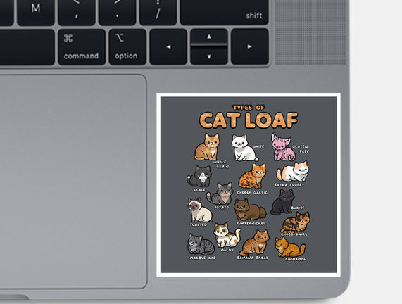 Types Of Cat Loaf