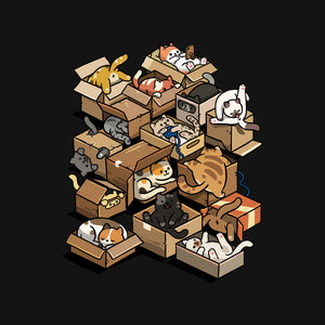 Cardboard Cats