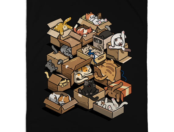 Cardboard Cats