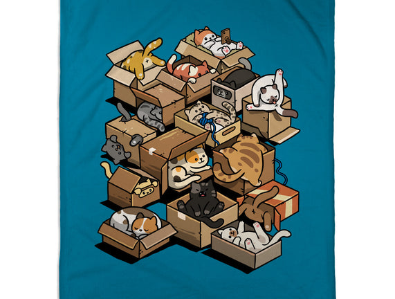 Cardboard Cats