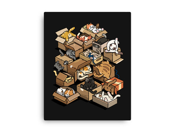 Cardboard Cats