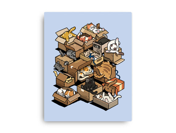 Cardboard Cats