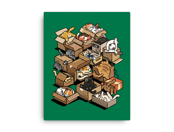 Cardboard Cats