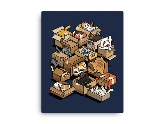 Cardboard Cats