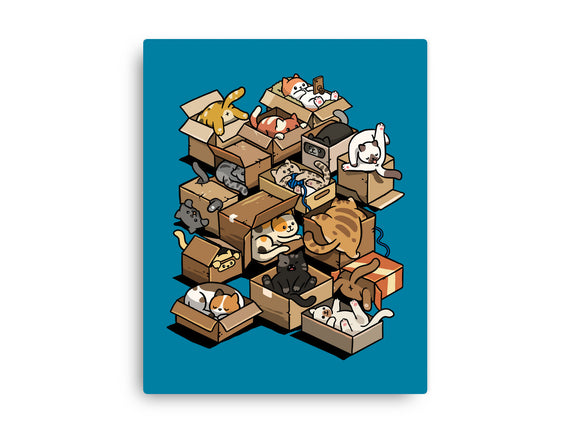 Cardboard Cats