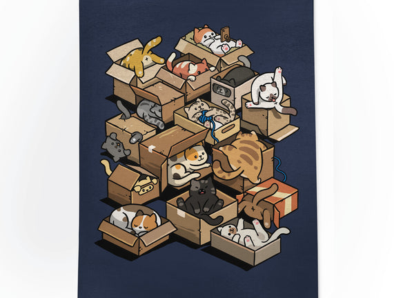 Cardboard Cats