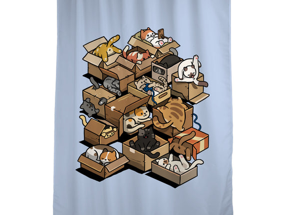 Cardboard Cats