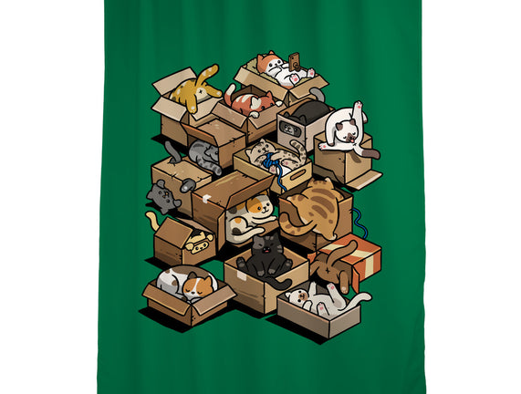 Cardboard Cats