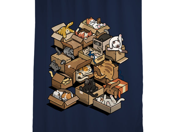 Cardboard Cats