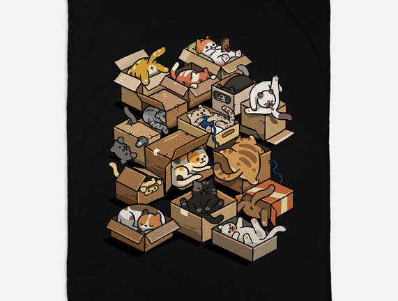 Cardboard Cats