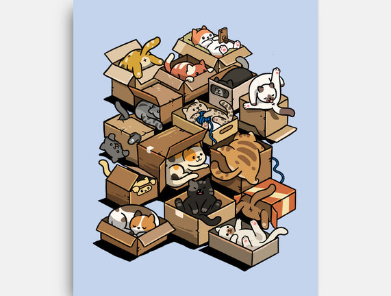 Cardboard Cats