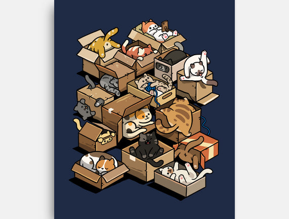 Cardboard Cats