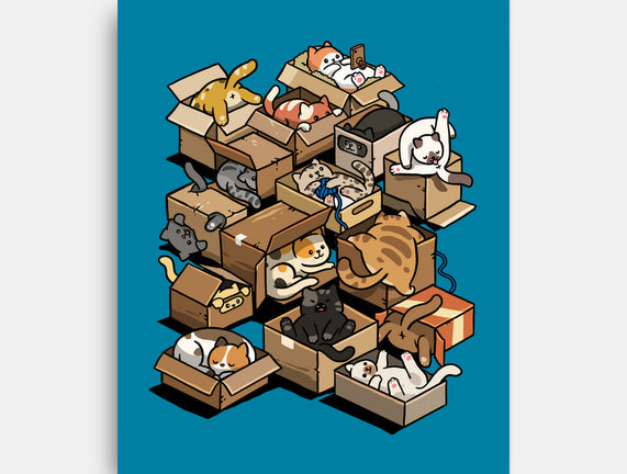 Cardboard Cats