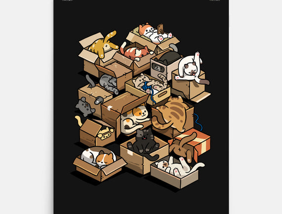 Cardboard Cats