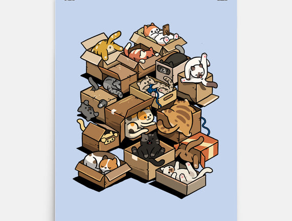 Cardboard Cats