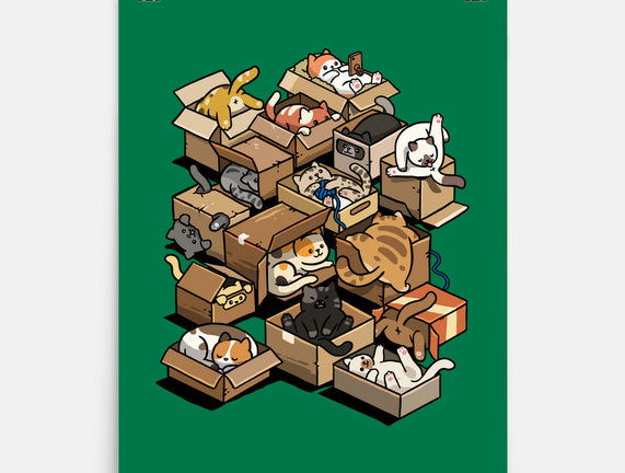 Cardboard Cats