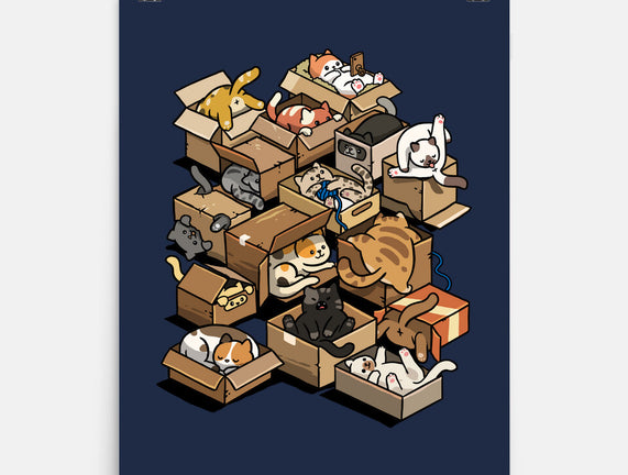 Cardboard Cats