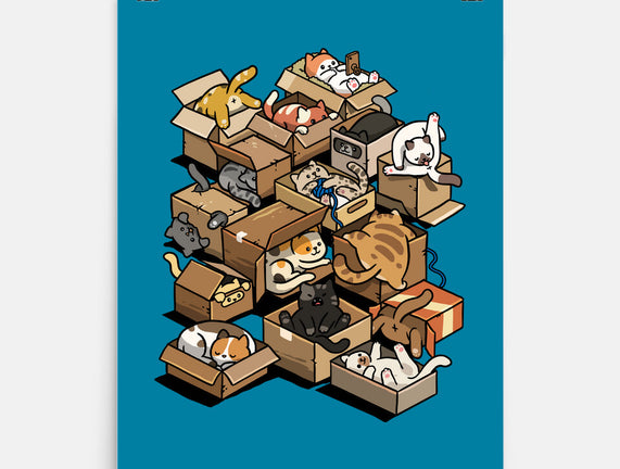 Cardboard Cats