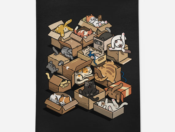 Cardboard Cats