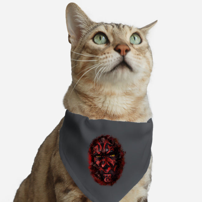 Look At Me Jedi-Cat-Adjustable-Pet Collar-nickzzarto