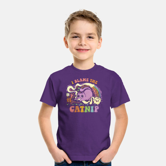 I Blame The Catnip-Youth-Basic-Tee-kg07