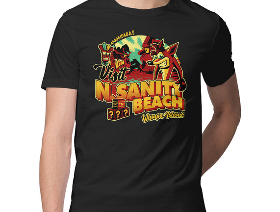 Visit N Sanity Beach