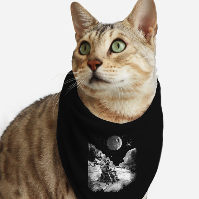 Summer On The Dark Side-Cat-Bandana-Pet Collar-kharmazero