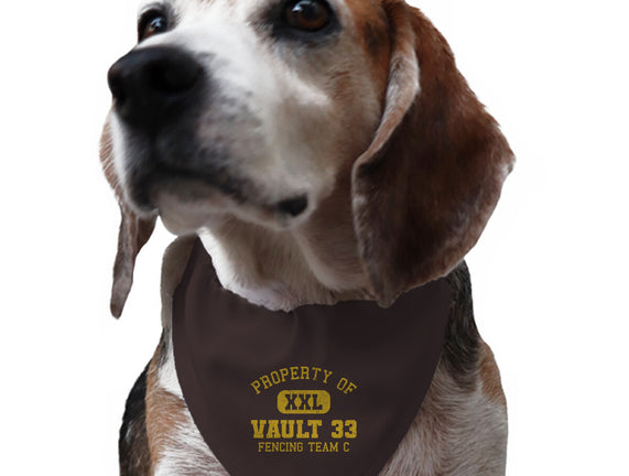 Property Of Vault 33